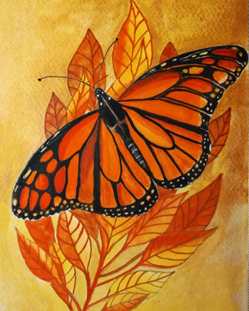 Orange Butterfly